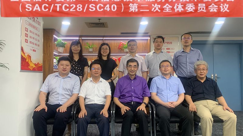 成都it外包短期项目收费标准